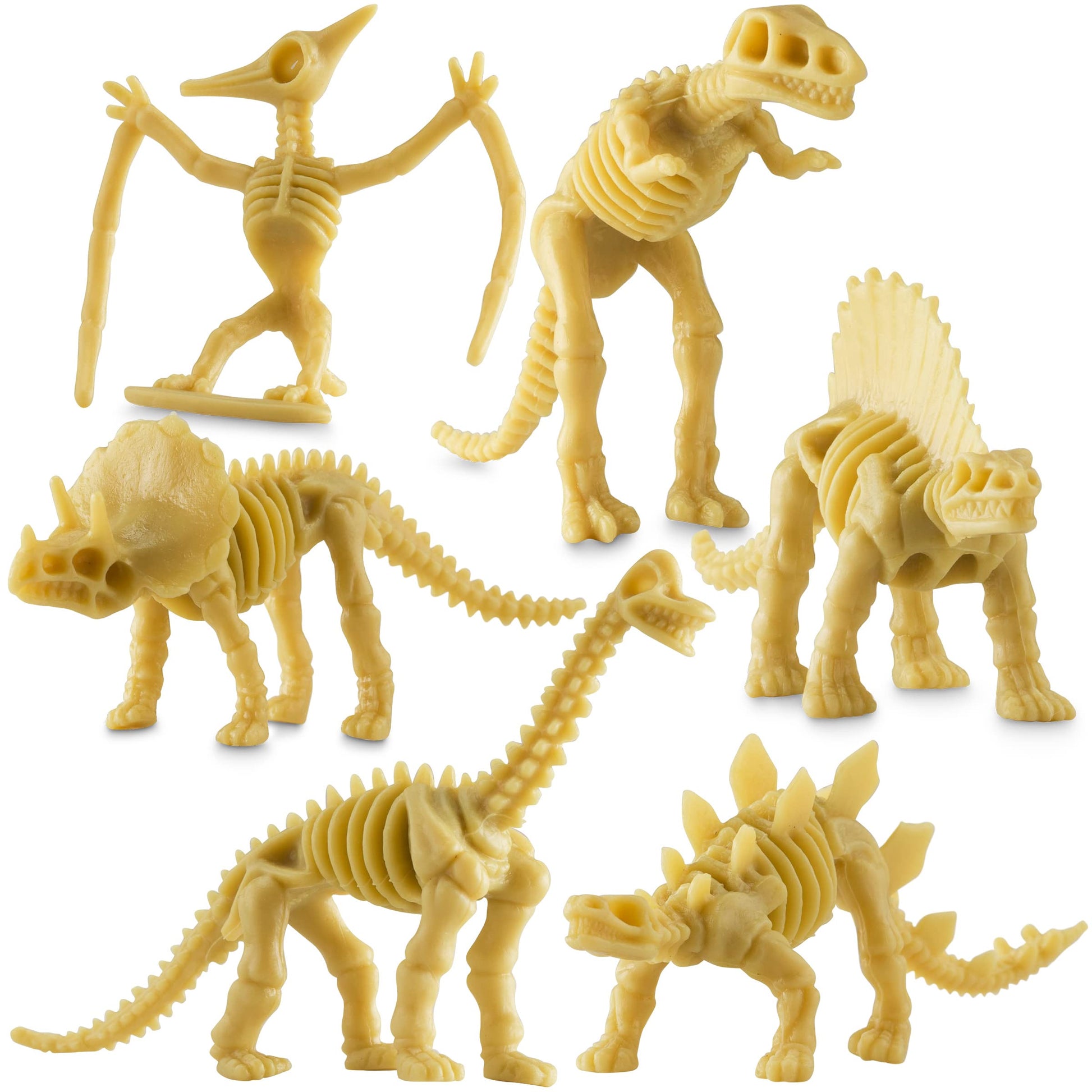 Bedwina Dinosaur Fossil Skeleton - (Pack of 24) 3.7 Inch Assorted Plastic Dino Figure Bones for Kids Science Dig Kit, Digging Sandbox Bins Play Toys, Party Favors, Birthday Decorations