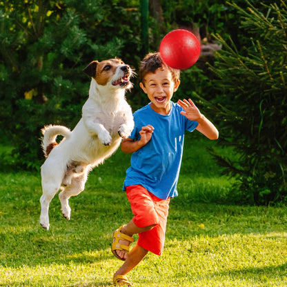Bedwina Playground Balls Bulk - 8.5 Inch (Pack of 2) Red Rubber Bouncy Inflatable Balls, w/Air Pump, for Kids & Adults, Indoor & Outdoor Games, Kickballs, Dodgeball, Four Square, Dodge Ball, Handball
